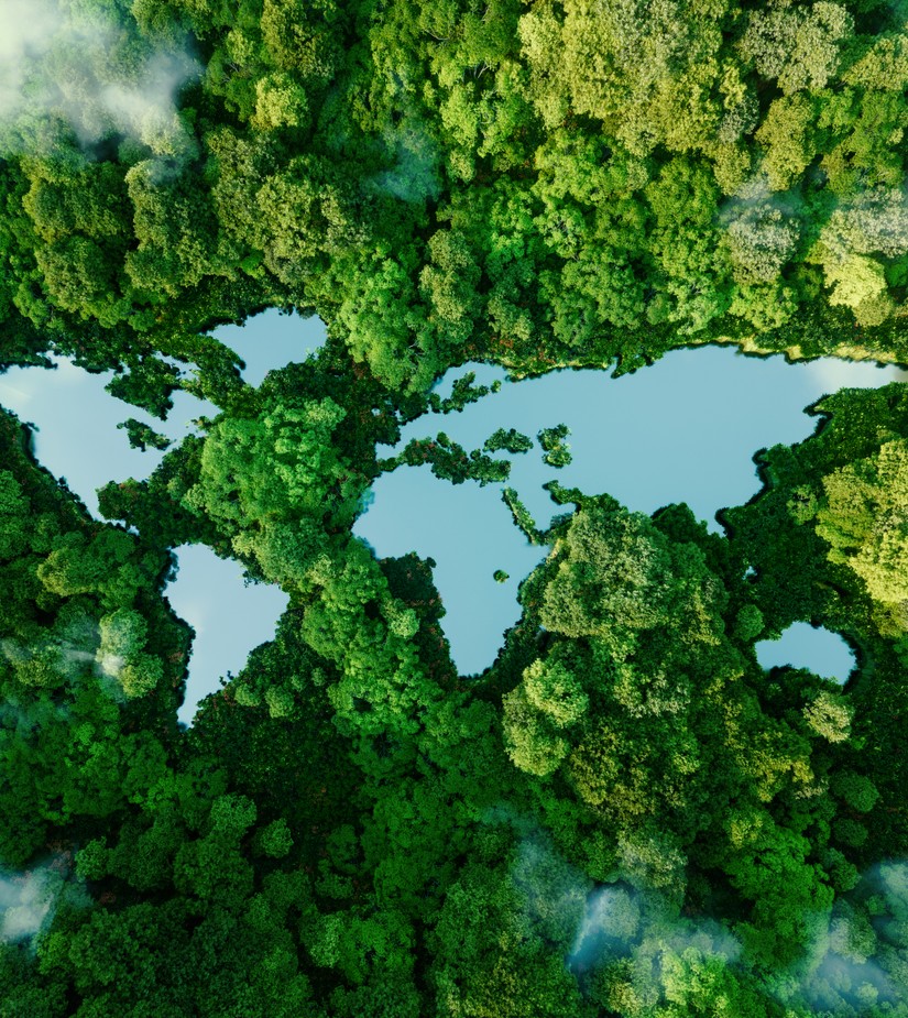 iStock-1342229191.jpg